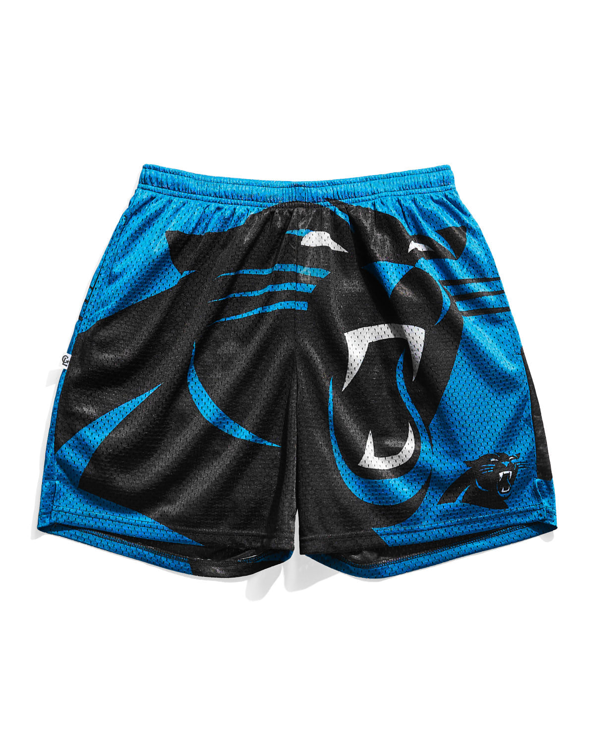 Carolina Panthers Big Logo Retro Shorts