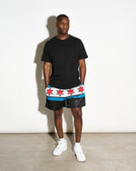 CM Punk Money in the Bank 2011 Entrance Shorts