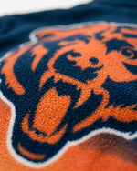 Chicago Bears Landscape Quarter Zip Microfleece Pullover