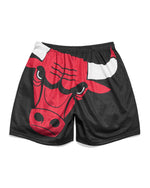 Chicago Bulls Big Logo Shorts