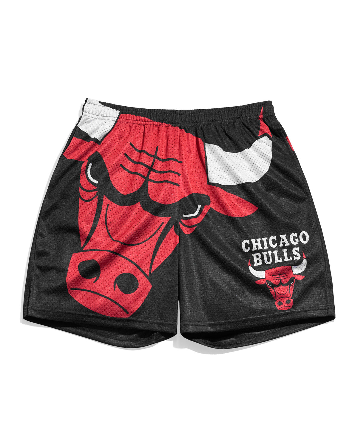 Chicago Bulls Big Logo Shorts