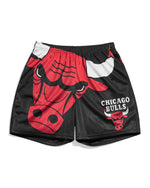 Chicago Bulls Big Logo Shorts