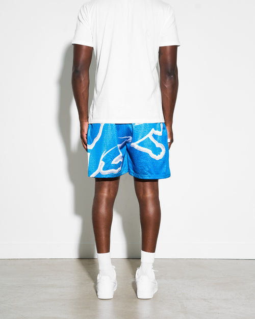 Detroit Lions Gradient Print Board Shorts