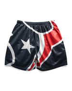 Houston Texans Big Logo Retro Shorts
