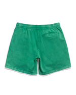 Philadelphia Eagles Classic Logo Draft Shorts
