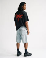 Rey Mysterio Flying Fury T-Shirt