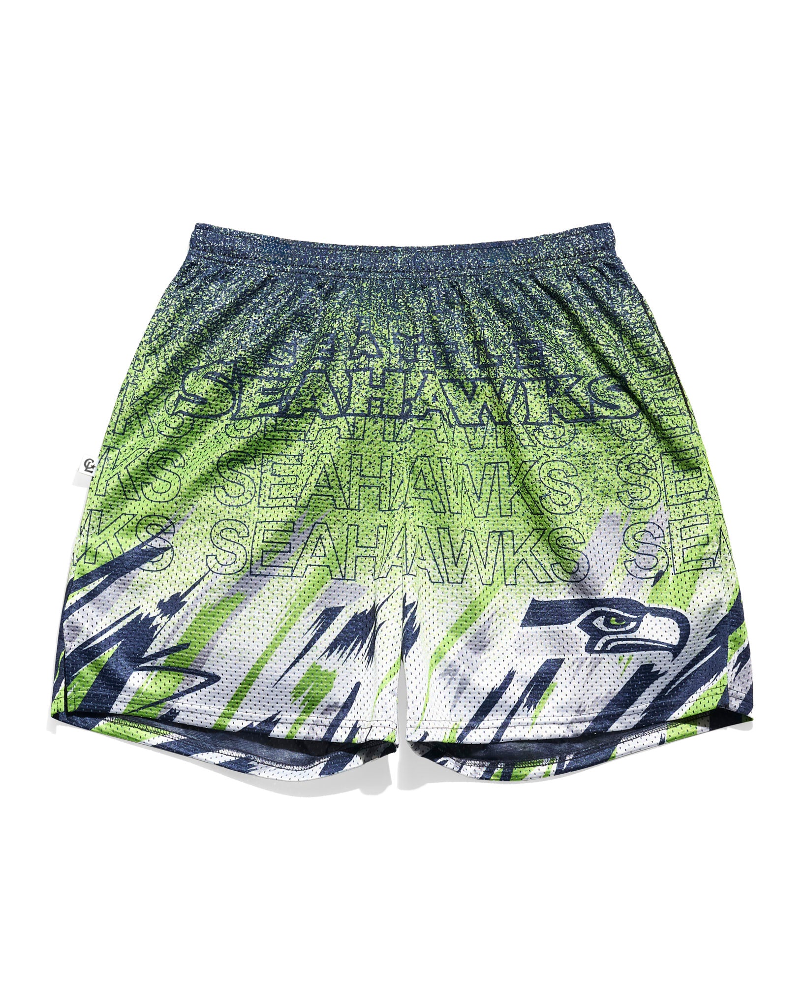 Seattle Seahawks Sketch Retro Shorts